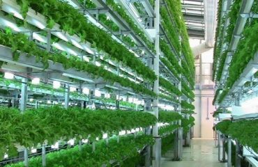 tTNAFijekGxjDlO-800×450-noPad