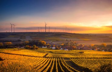 scenic-view-of-agricultural-field-against-sky-during-sunset-325944